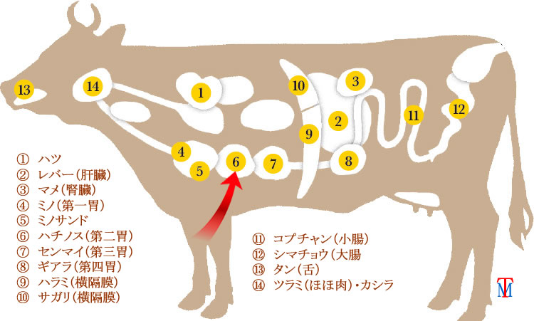 和牛ホルモンの種類や特徴～焼き肉・もつ鍋におすすめホルモン通販｜おすすめ牛肉通販